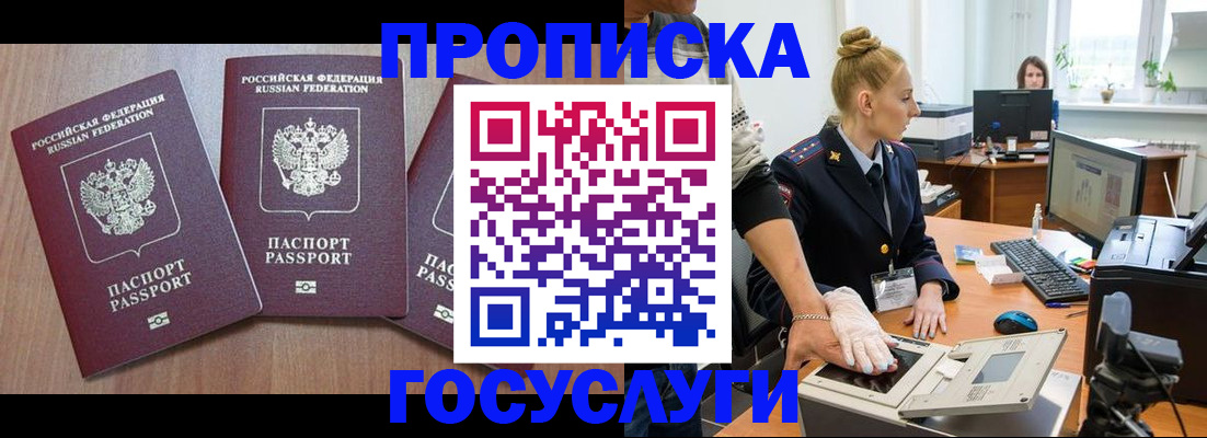 прописка поиск в Курской области